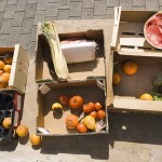 despilfarro comida_flickr_c_DardoEloy